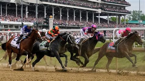 average superfecta payout|Superfecta Bets In Horse Racing (How Payouts Are Calculated).